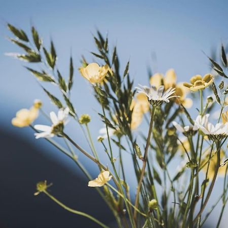 דירות רמסאו אים זילרטל Alpenrose מראה חיצוני תמונה